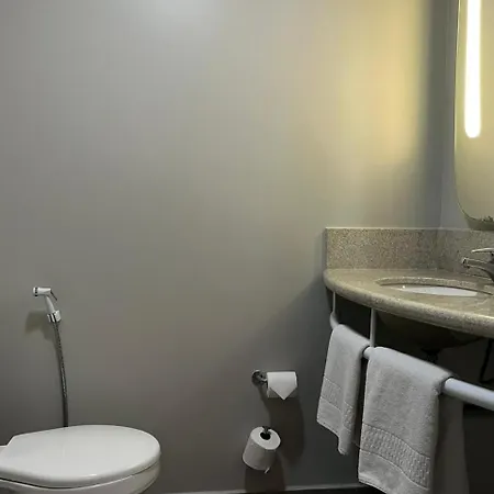 Hotel Ibis Centro De Eventos 3*